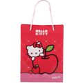 Пакет пласт подар Hello Kitty 204-1К