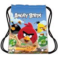 Сумка для обуви Angry Birds AB03844