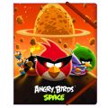 Папка В5 на резинке пласт Angry Birds 03322